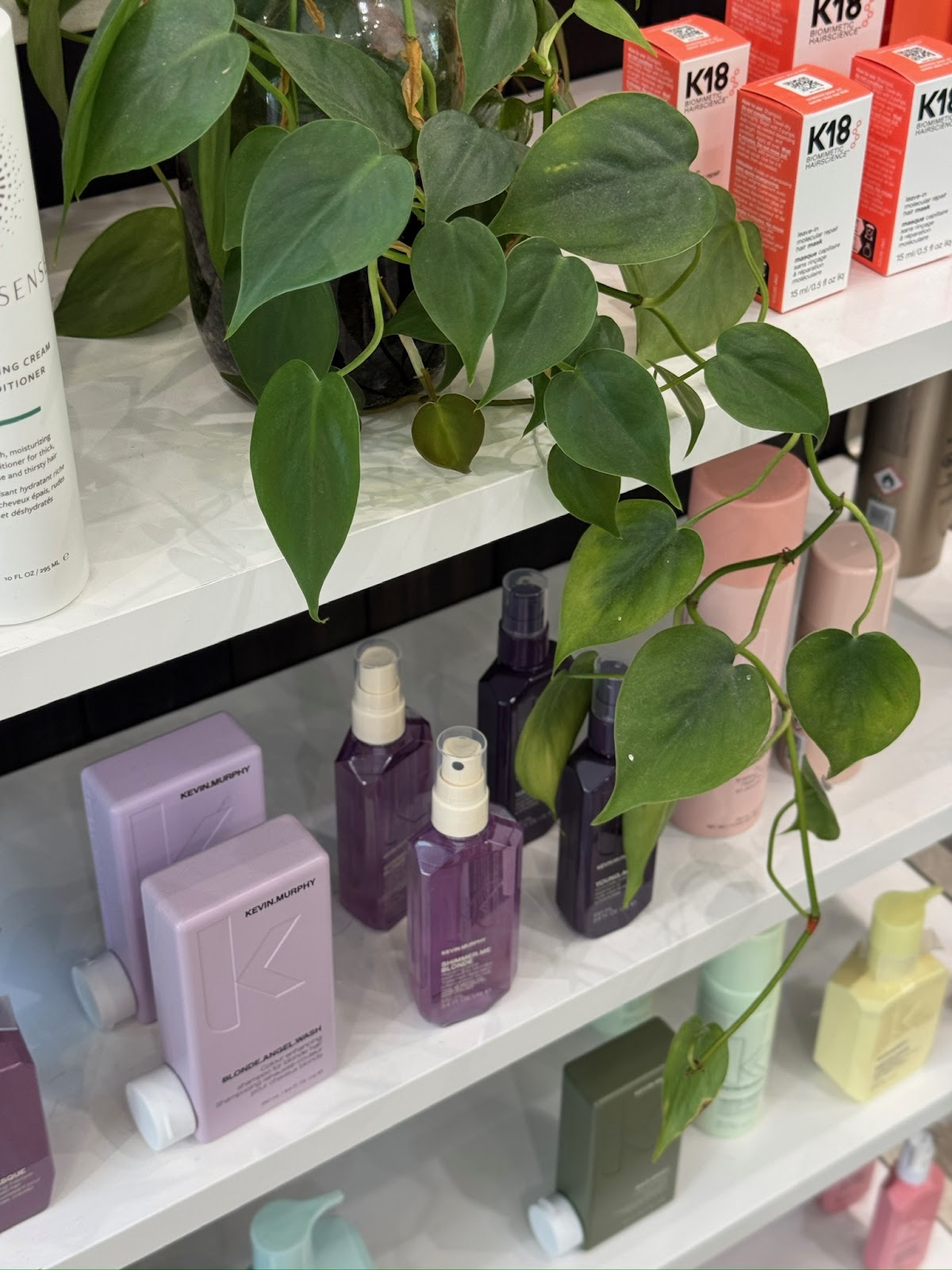 Evolve Hair Studio - Hair Salon in Toronto