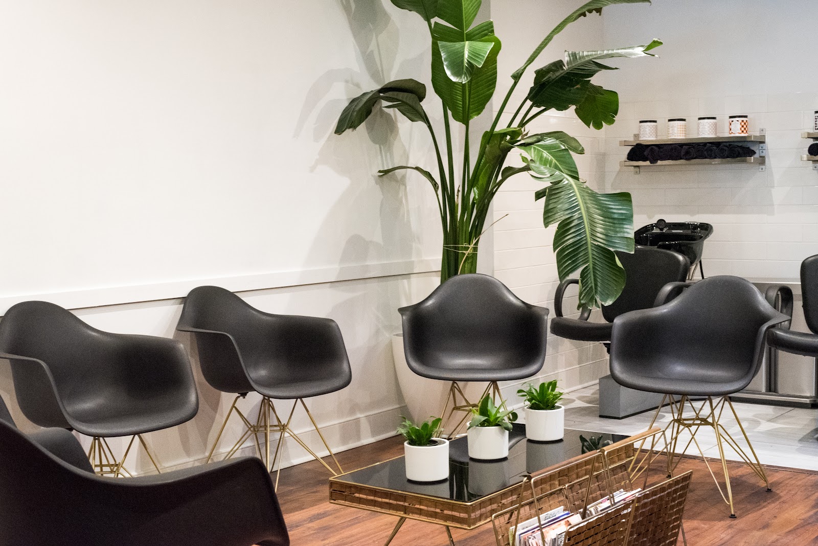 ēdūcō salon - Hair Salon in Toronto