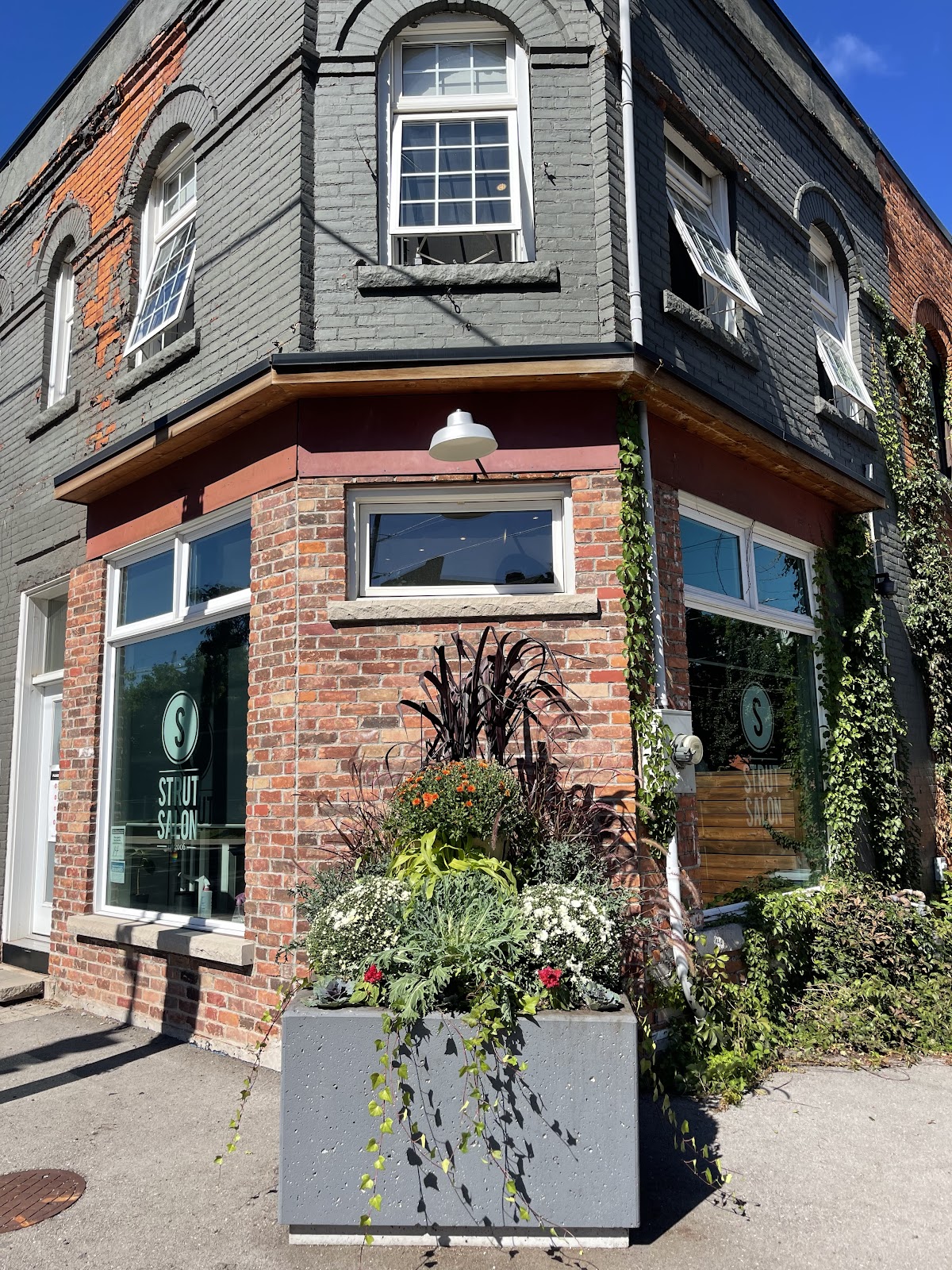 Strut Salon - Hair Salon in Hamilton