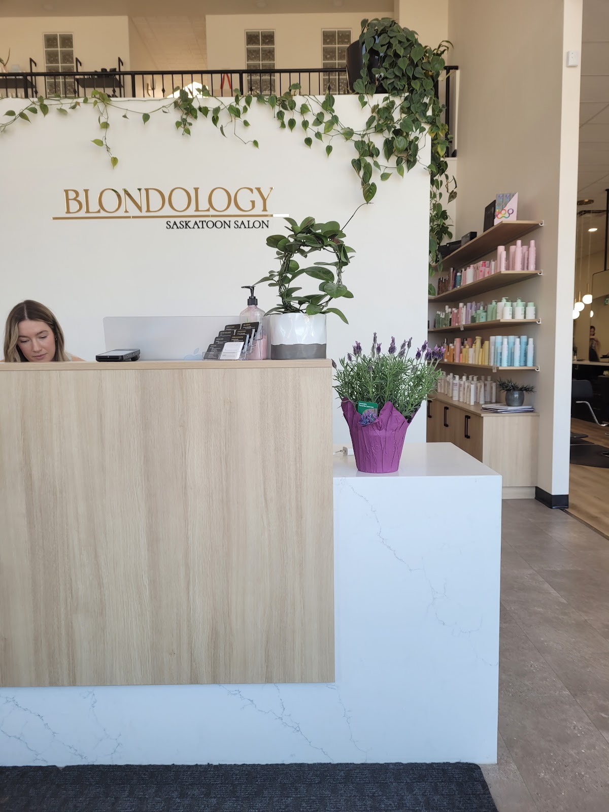 Blondology Saskatoon Salon - Hair Salon in Saskatoon