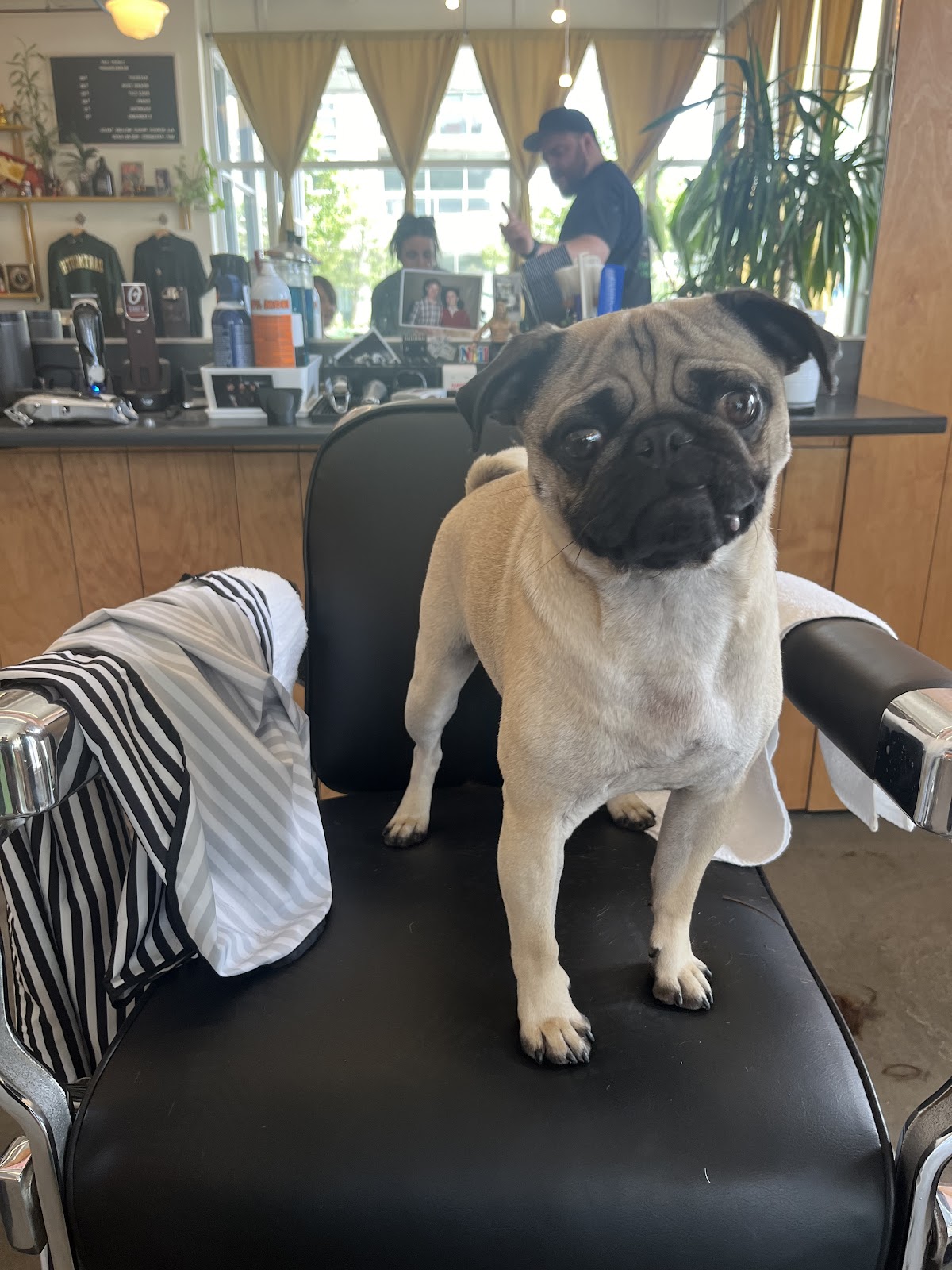 Lucky Cat Barbershop - Barbershop in Dartmouth