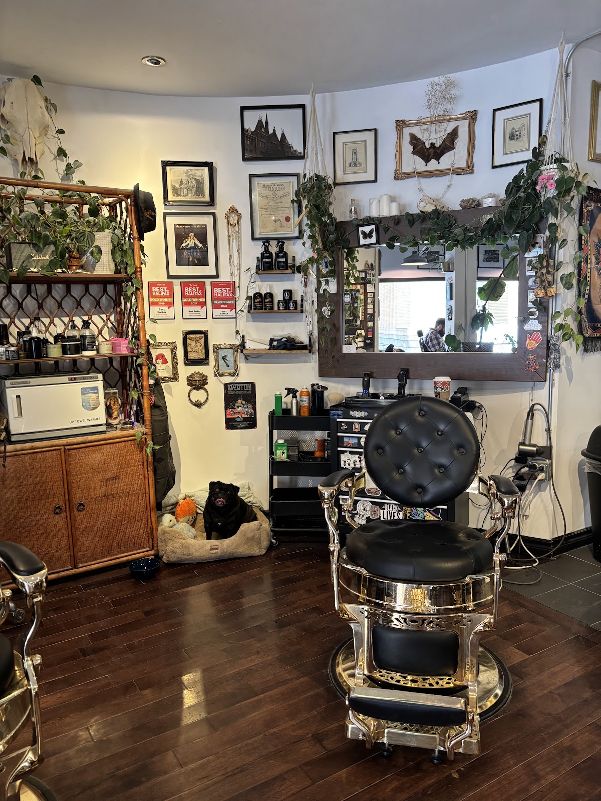 Devoted Barbers & Co. - Barbershop in Dartmouth