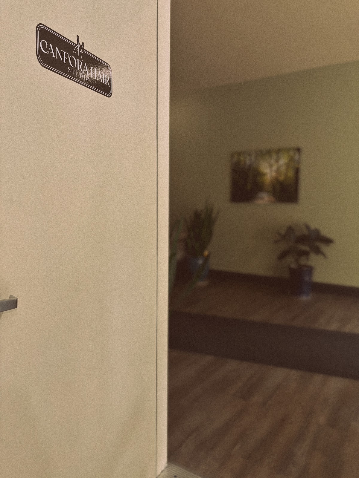 Canfora Hair Studio - Barbershop in Fredericton