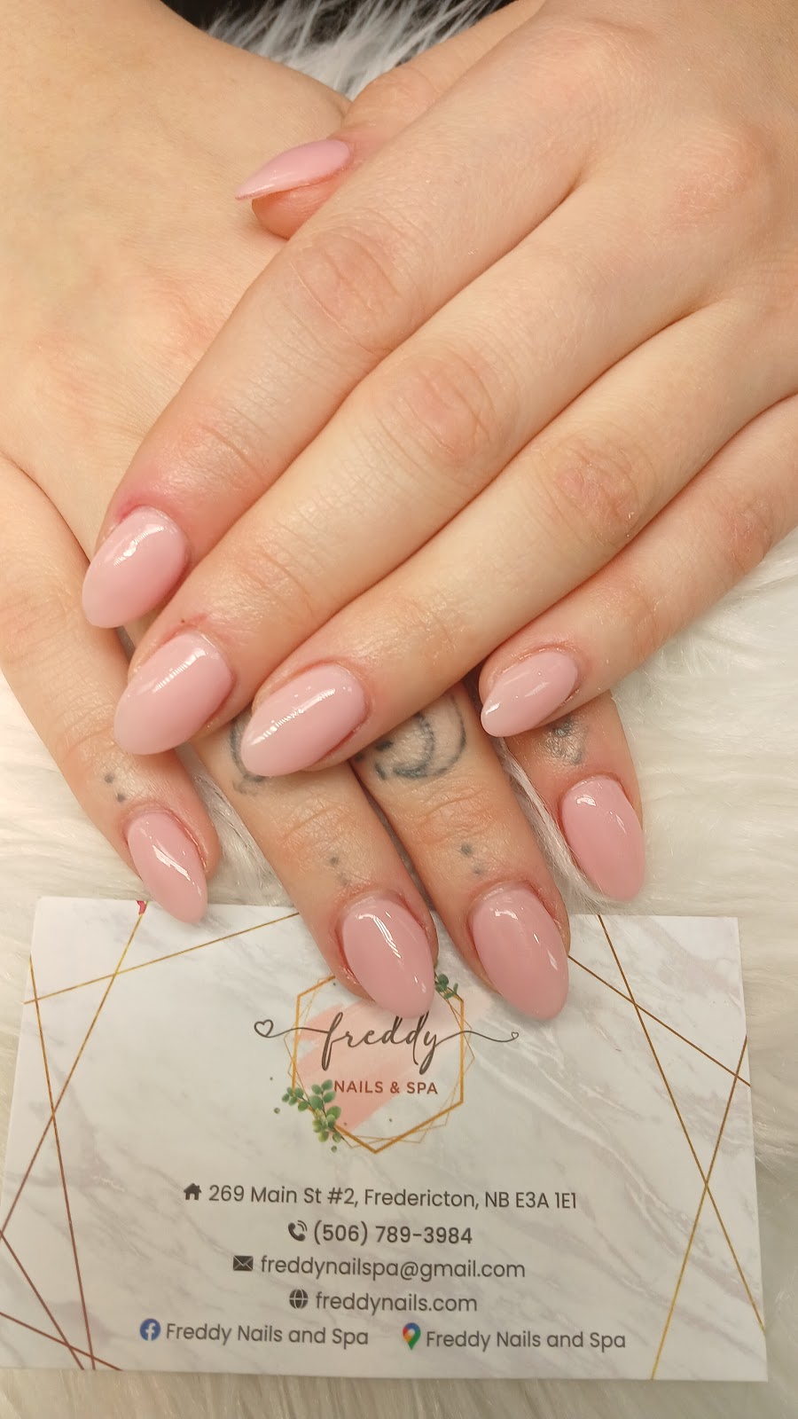 Freddy Nails and Spa - Nail Salon in Fredericton