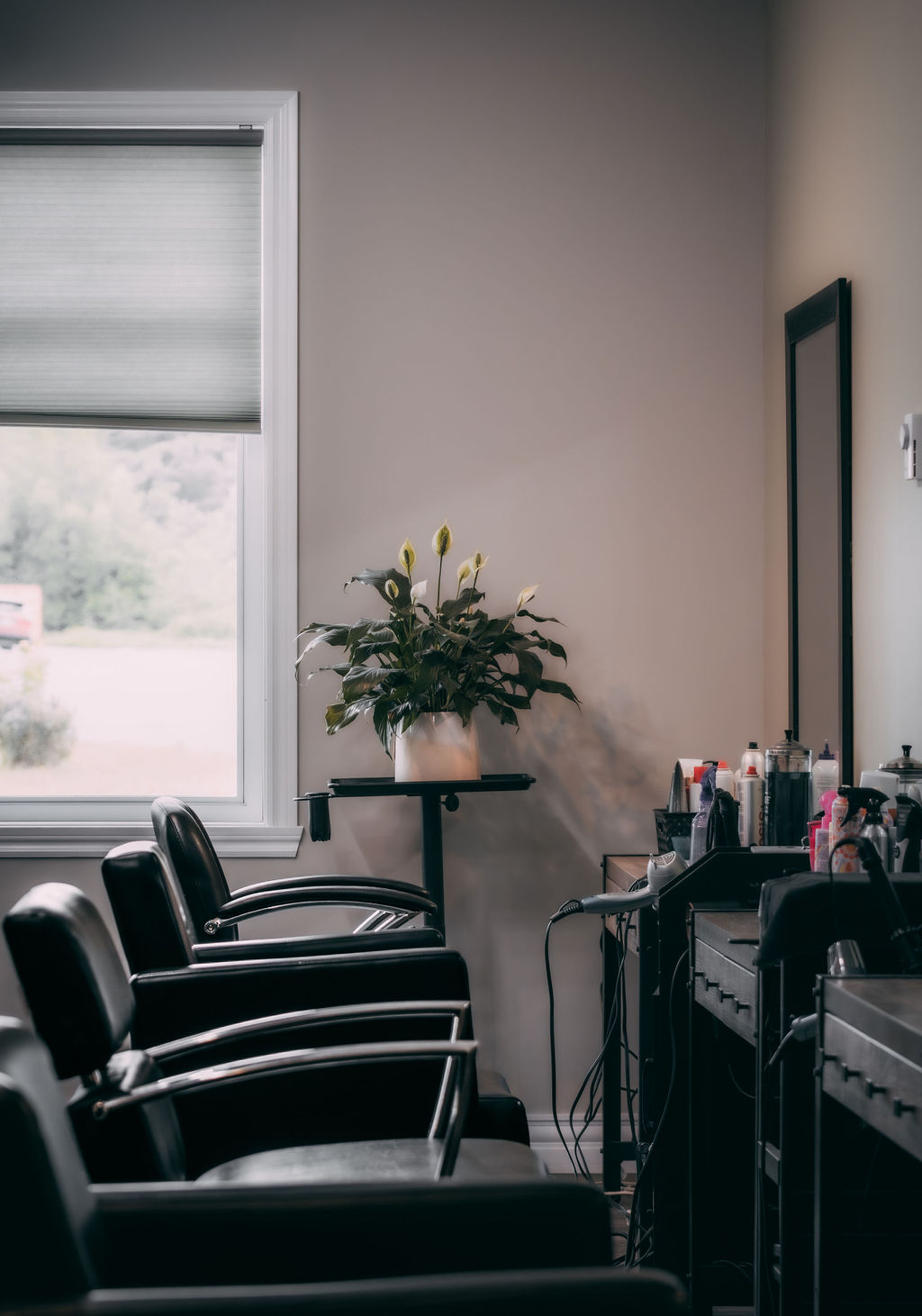 Salon 791 Hair & Esthetics - Nail Salon in Fredericton
