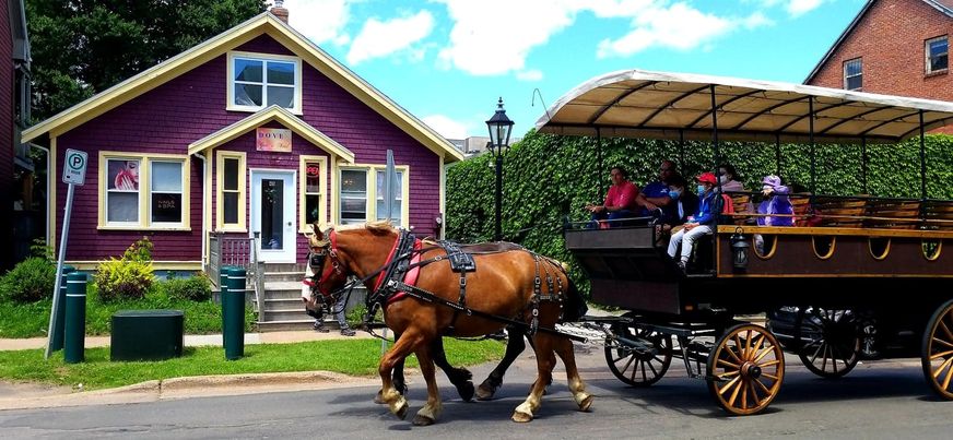 Dove Spa & Nail Inc - Nail Salon in Charlottetown