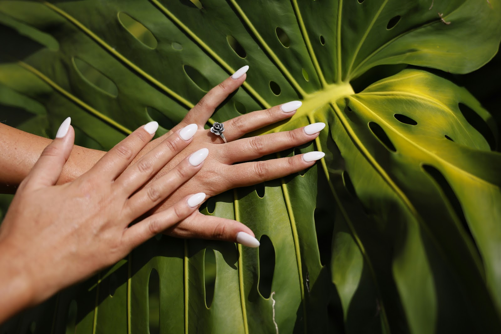 Zen Nails and Spa - Nail Salon in Charlottetown