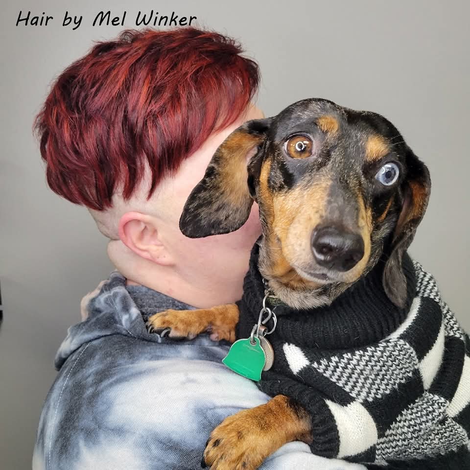 Vice Salon - Hair Salon in Fort Smith
