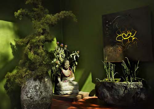 Kabuki Springs & Spa - Beauty Spa in San Francisco