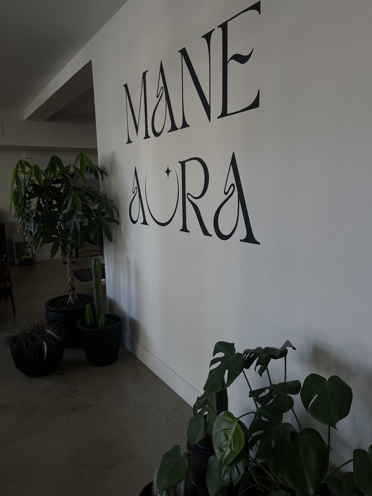 Mane Aura - Hair Salon in Sacramento