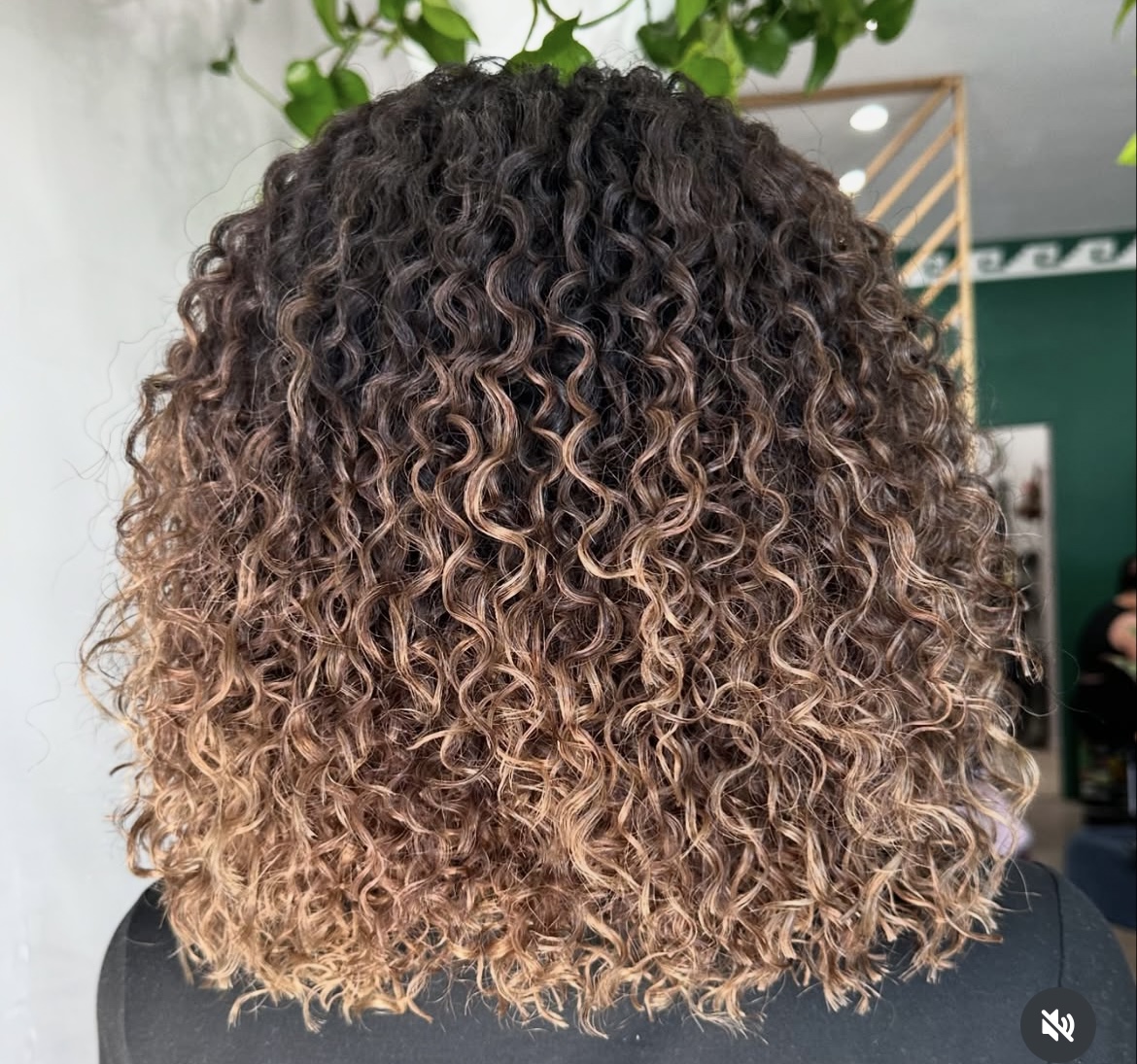 Native Studio Salon - Hair Salon in Oakland