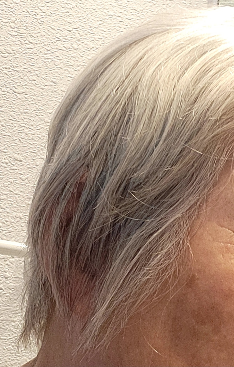 Sandra's Hair Salon - Hair Salon in Fresno