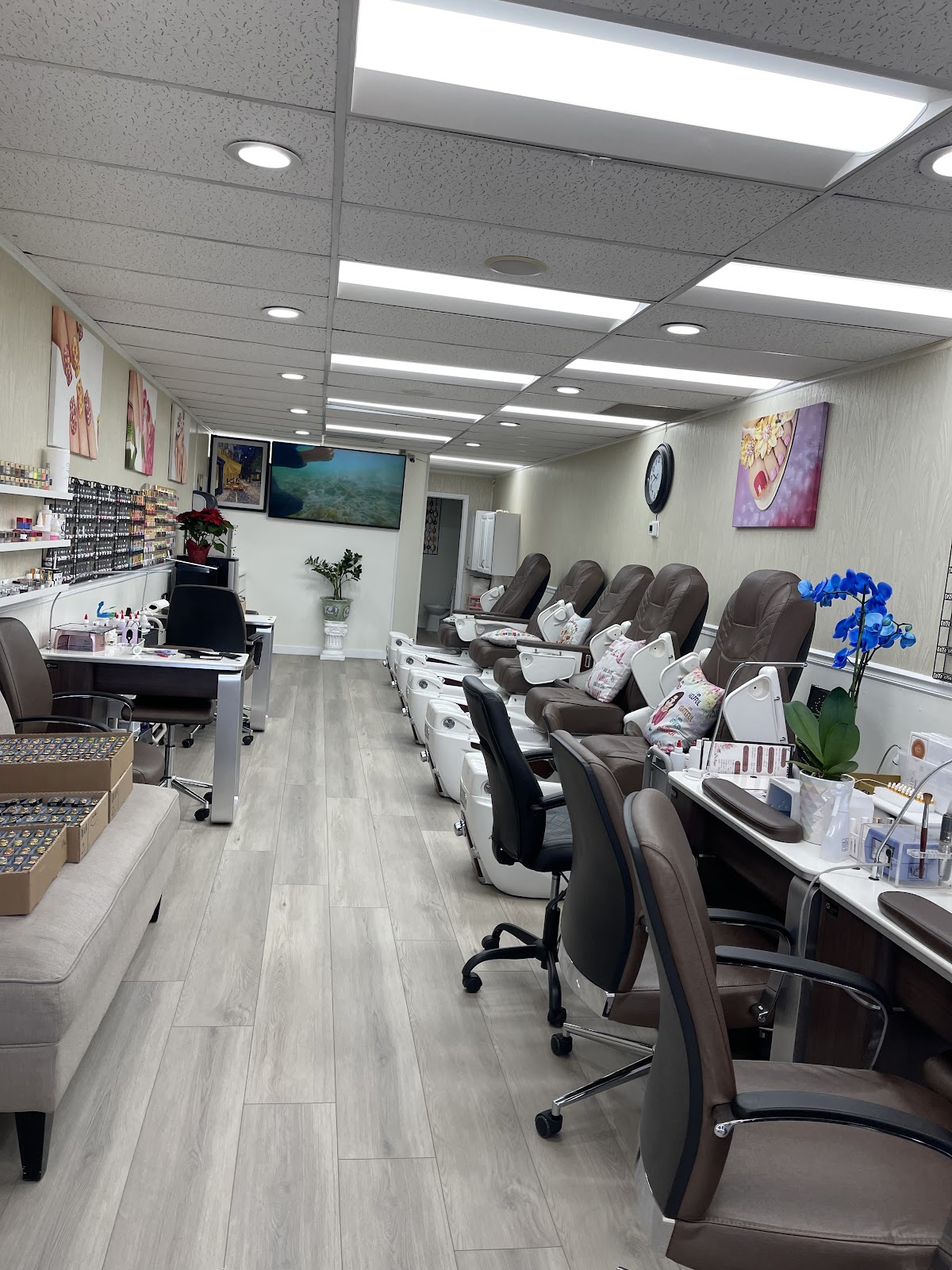 Daisy Nail & Spa - Nail Salon in Anaheim