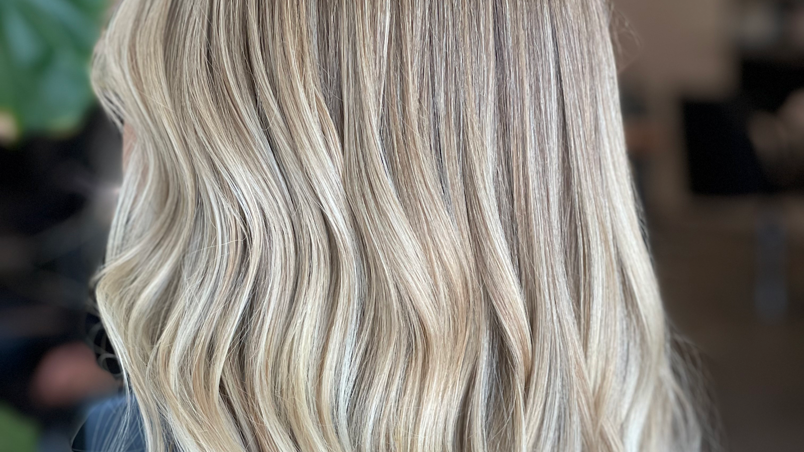 Haas Salon - Hair Salon in Tampa