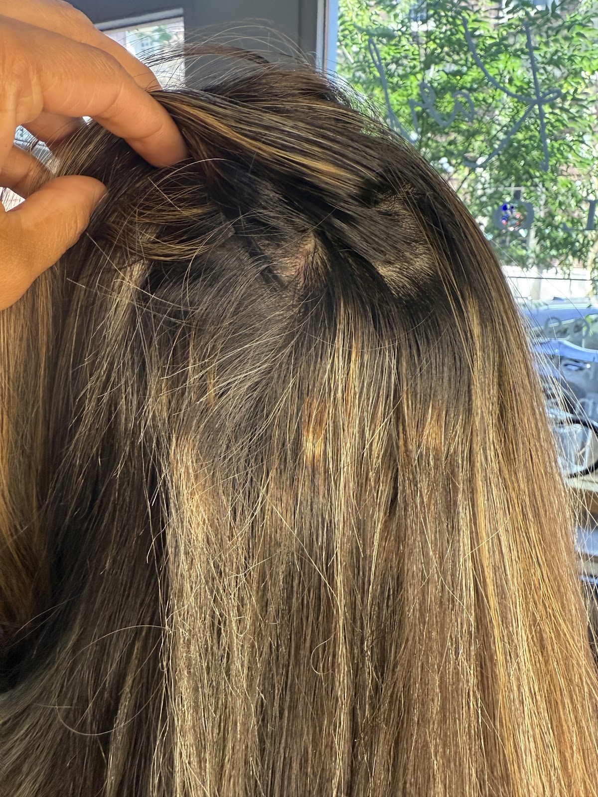 South Tampa Salon - Hair Salon in Tampa