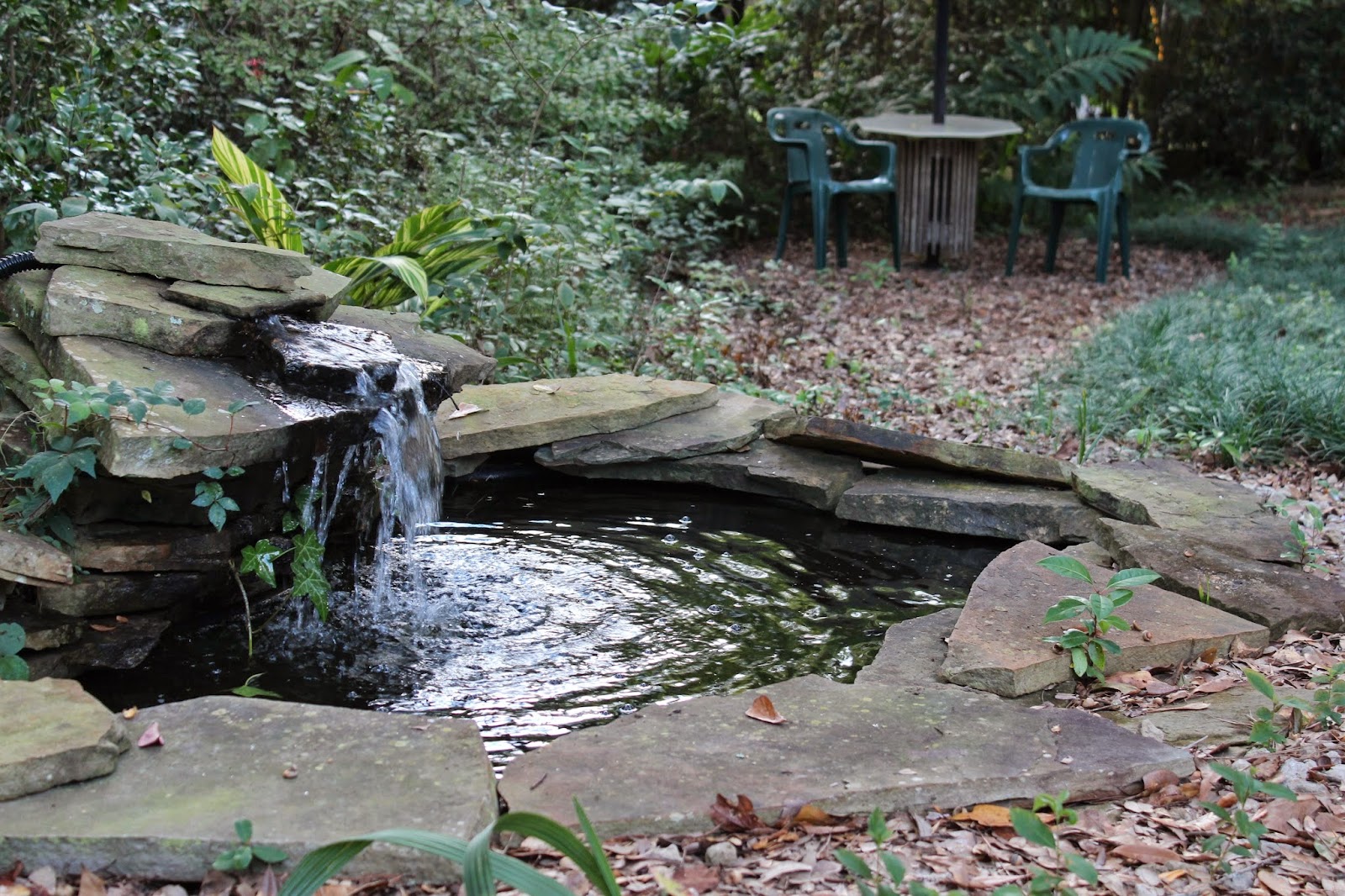 Better Living Day Spa - Beauty Spa in Tallahassee