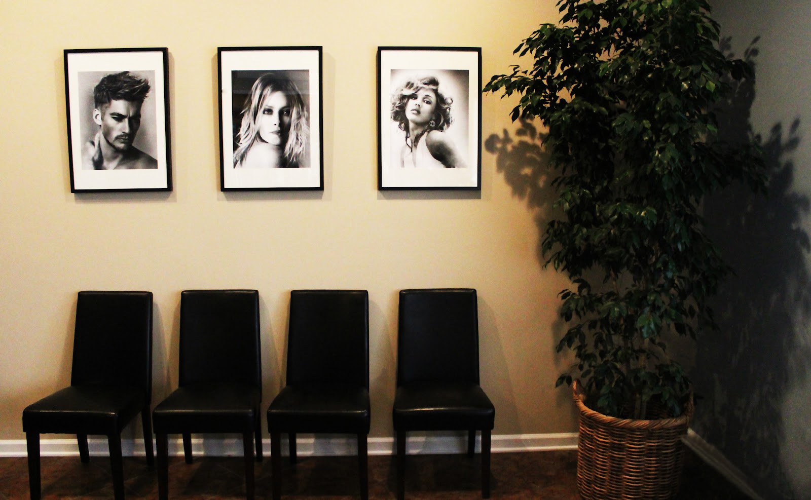 Fringe Salon - Hair Salon in Fort Wayne