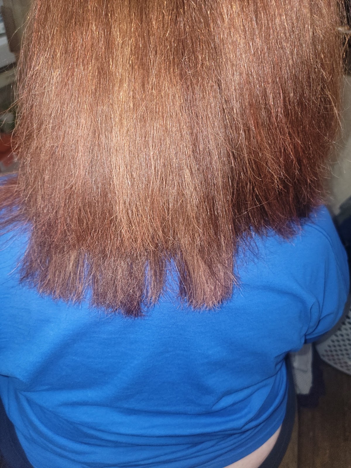 The Hair Distillery - Hair Salon in South Bend