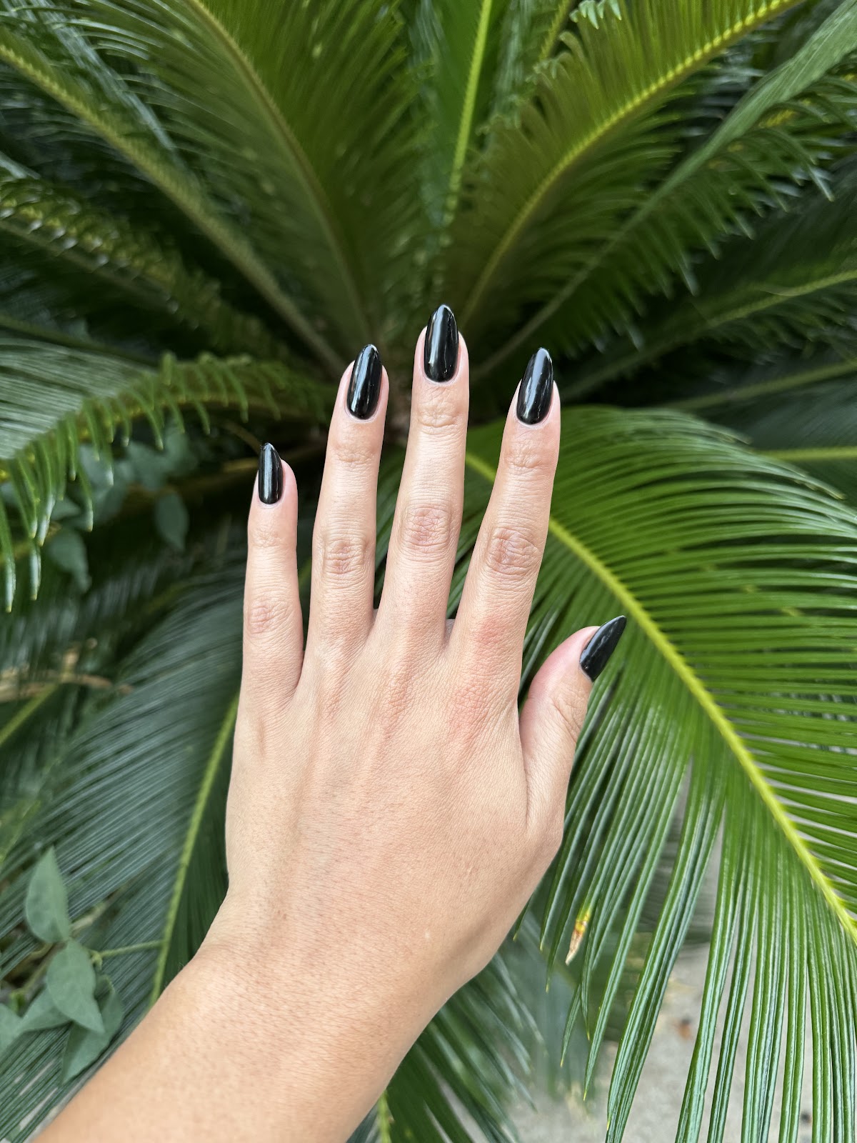Lilly's Nails & Spa - Nail Salon in New Orleans