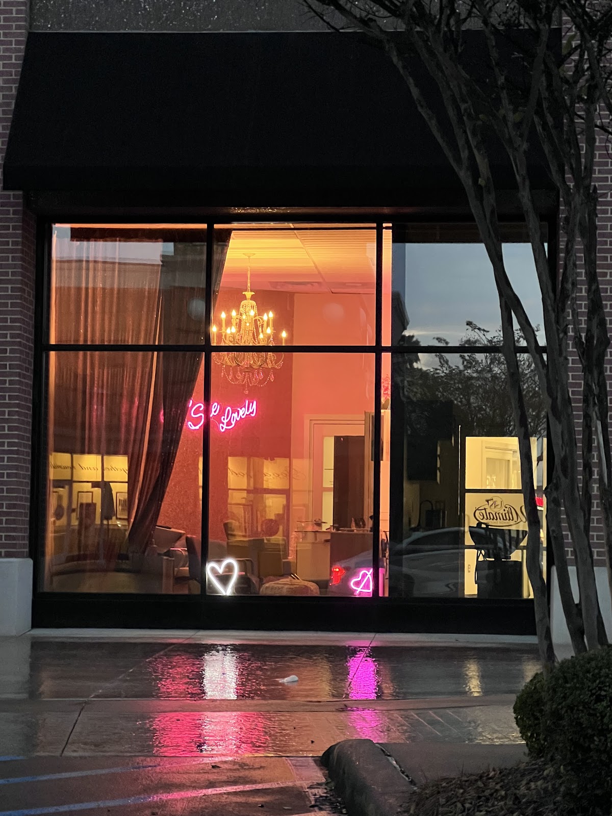 She Salon - Hair Salon in Shreveport