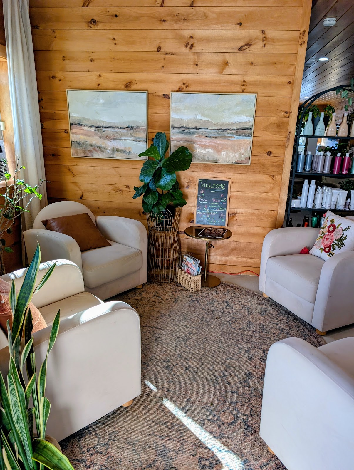 Primrose Beauty - Hair Salon in Bangor