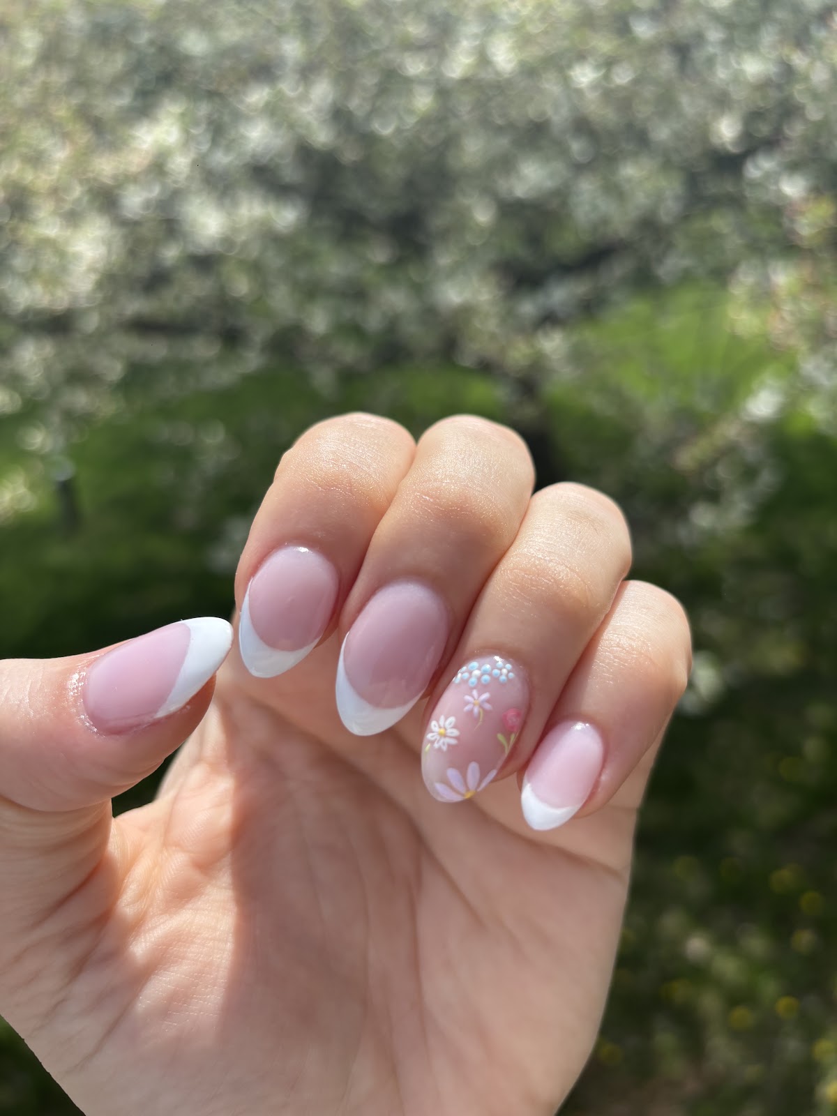 Posh Nails & Spa - Downtown GR - Nail Salon in Grand Rapids