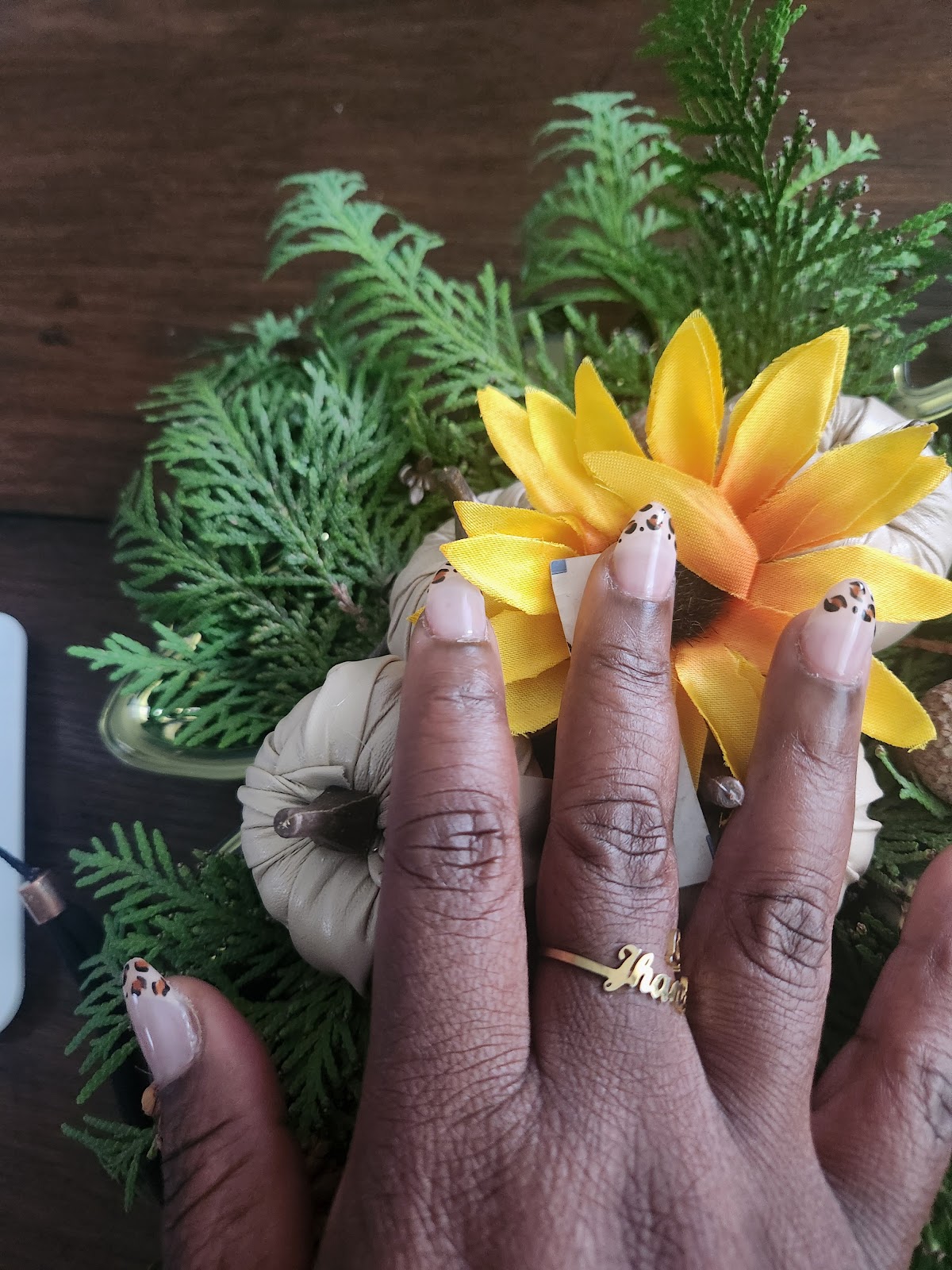 Kiss Nails - Nail Salon in Lansing