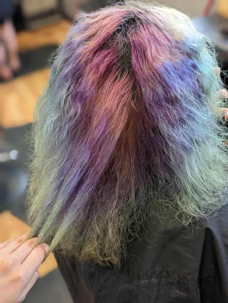 Rubie's Paradise Salon - Hair Salon in Lansing