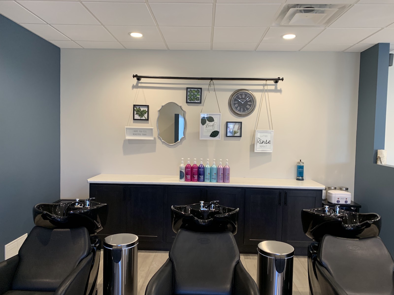 Birch Salon & Company - Hair Salon in Kalamazoo