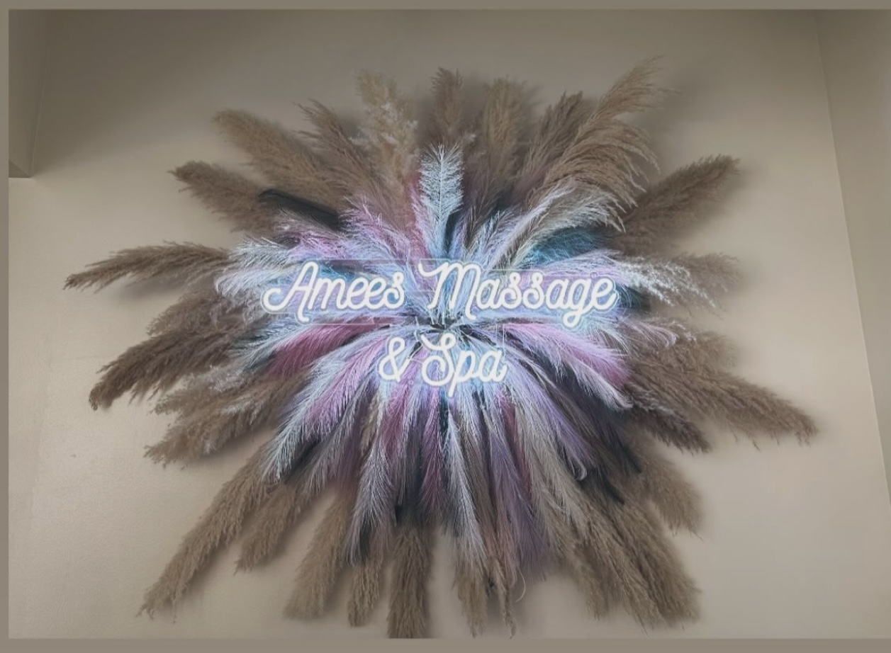 Amees Massage & Spa - Beauty Spa in Kalamazoo
