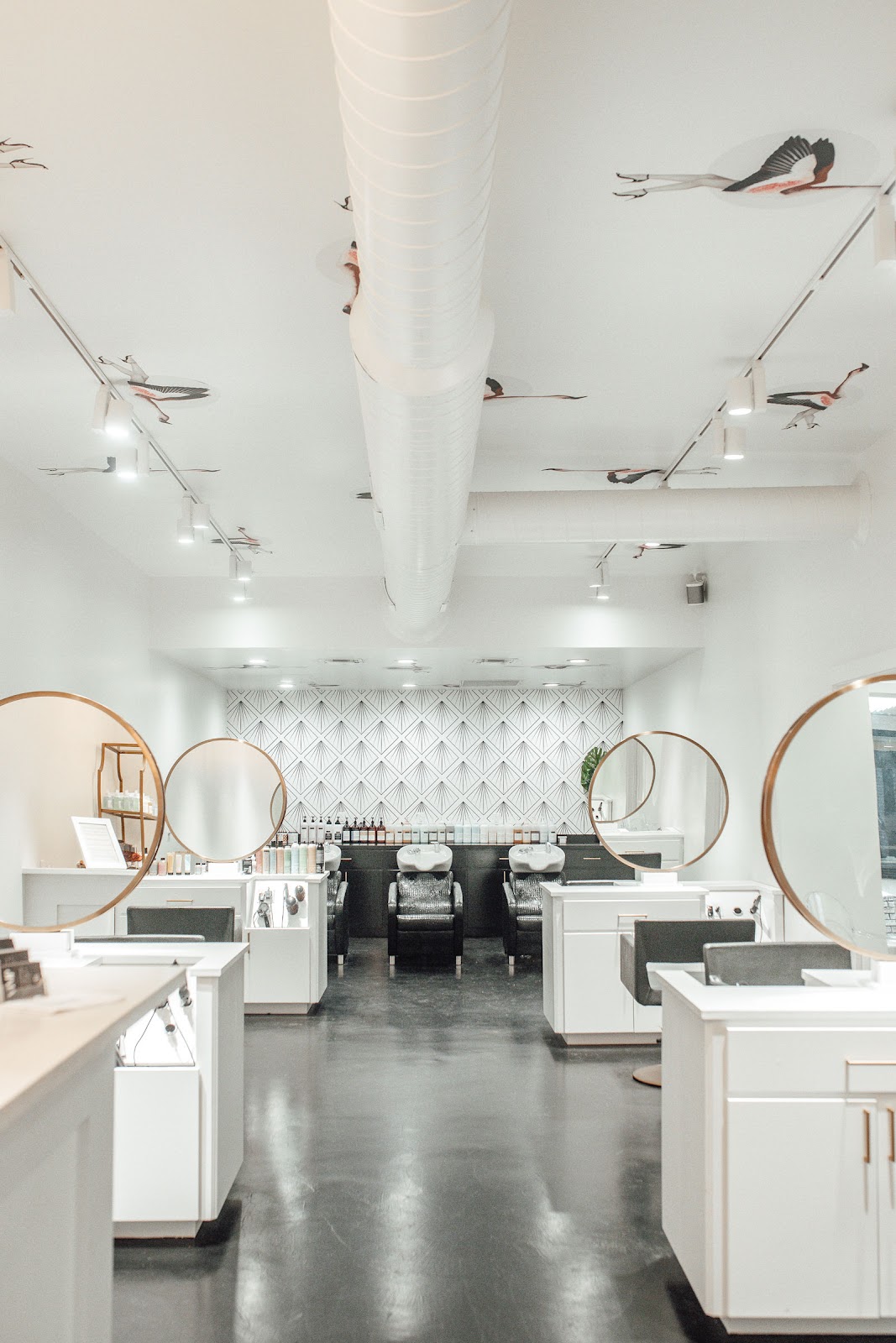 Vamp -the salon - Hair Salon in Jackson