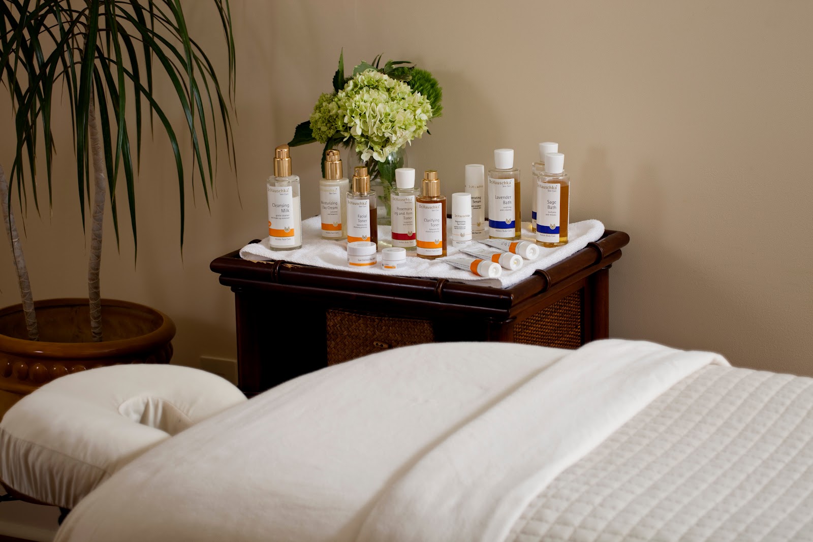 nomiSpa - Beauty Spa in Jackson