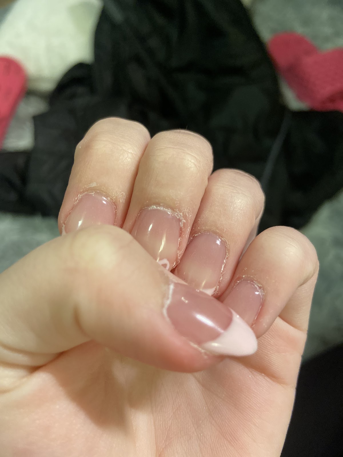 Bella Nails & Spa - Nail Salon in Bozeman
