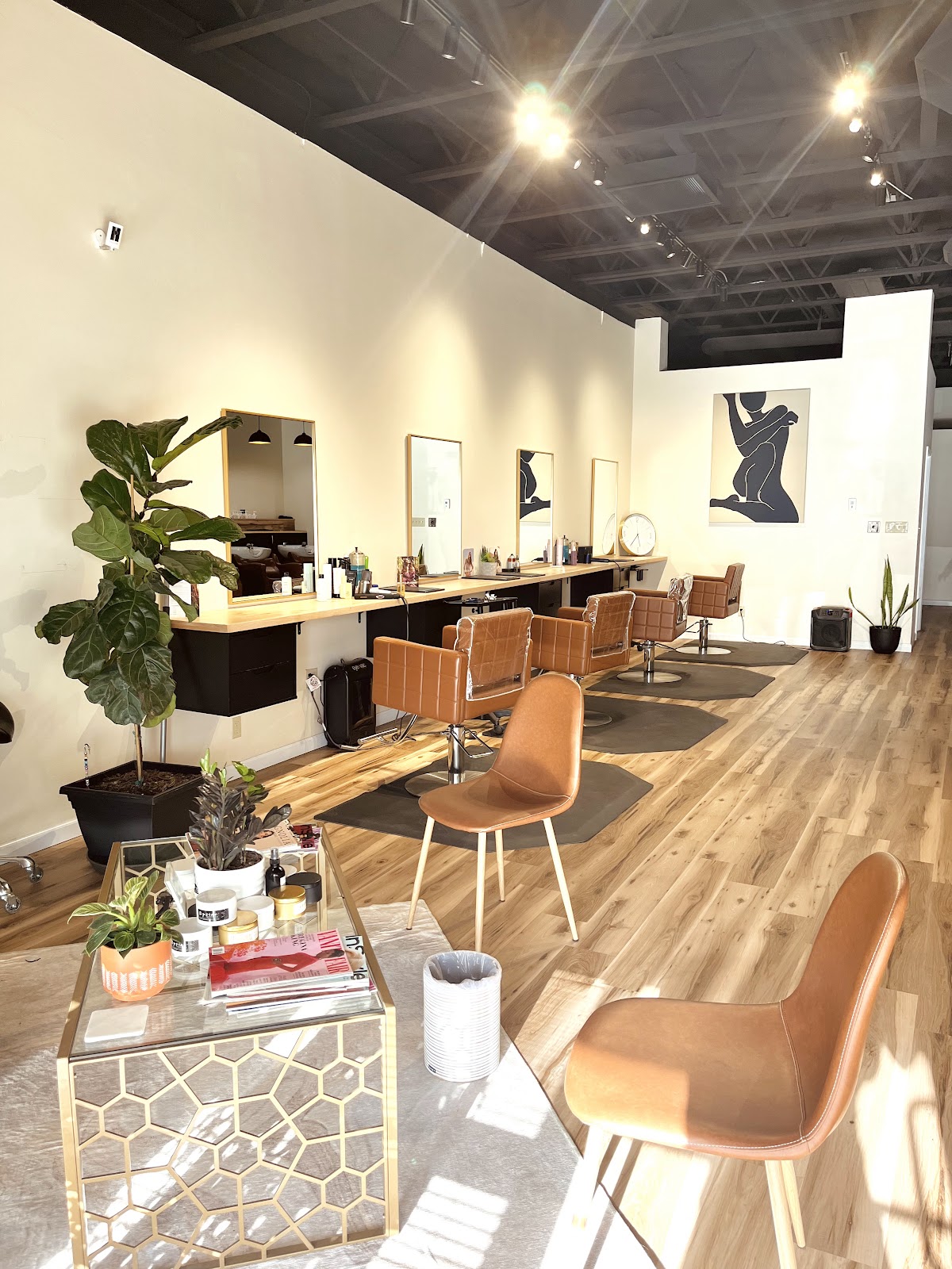 Desert Roots Salon - Hair Salon in Albuquerque