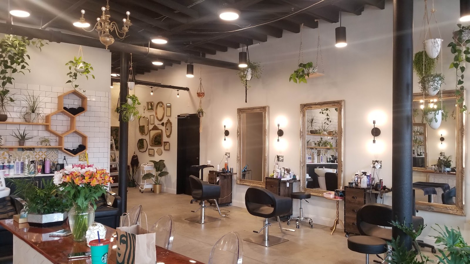 Local Honey Beauty Hive - Beauty Spa in Buffalo