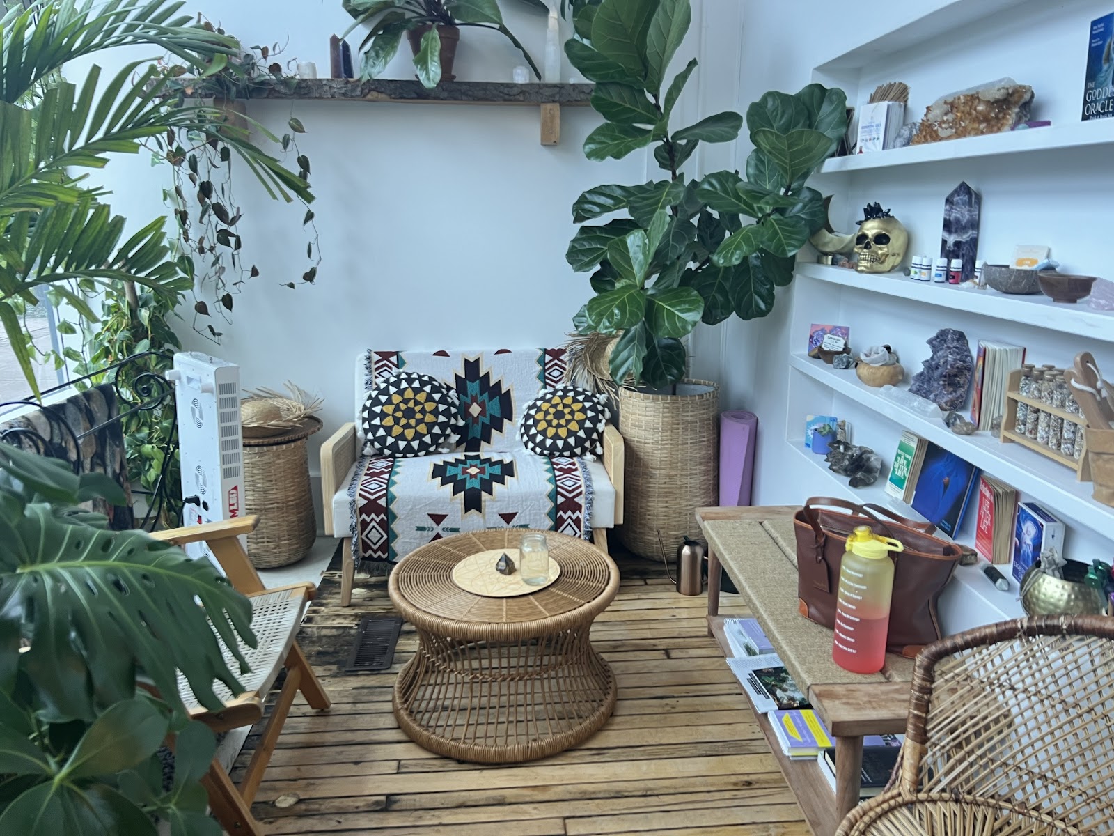 AMOR SANAS - Beauty Spa in Rochester