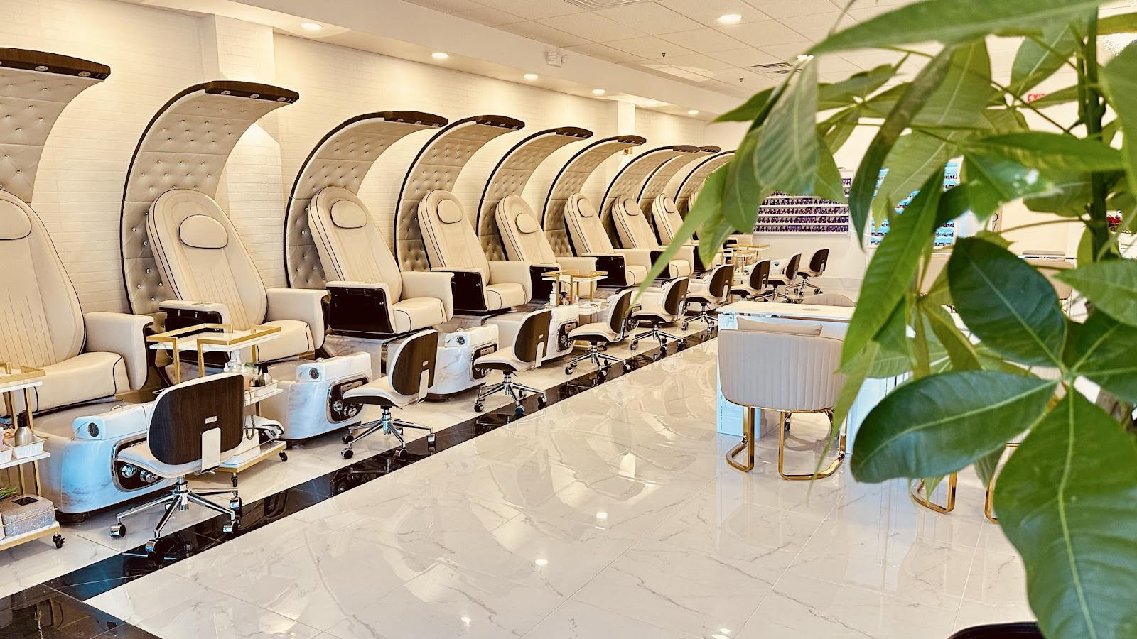 Nouvo Nail Bar - Nail Salon in Greensboro