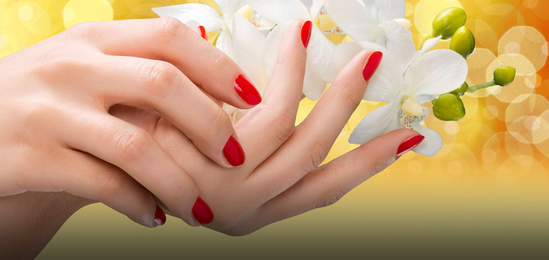 Asheville Nails Spa and Salon - Nail Salon in Asheville