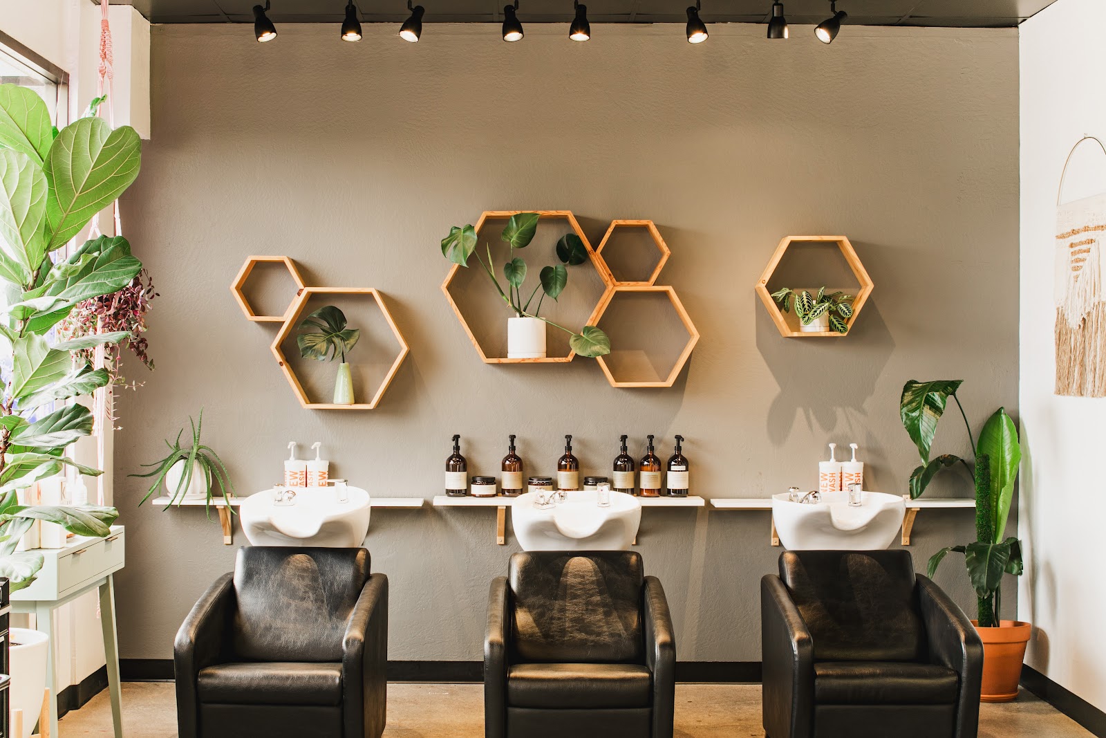 The Collective | Beauty & Wellness - Hair Salon in Eugene