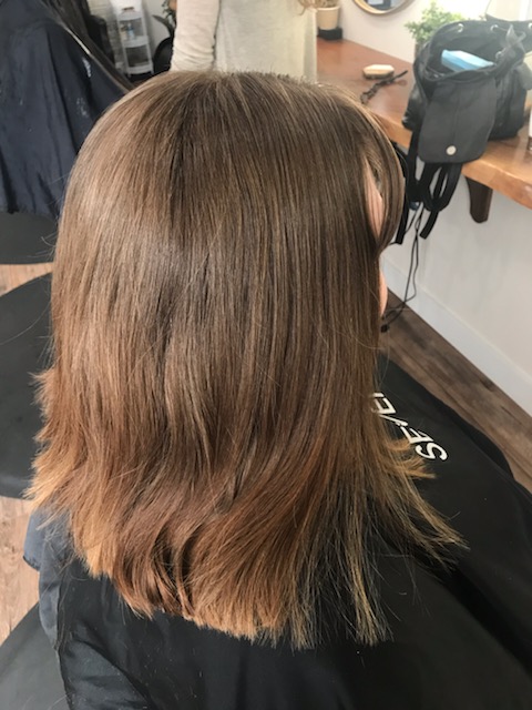 Wylde Roots Hair Studio - Salem, Oregon - Hair Salon in Salem