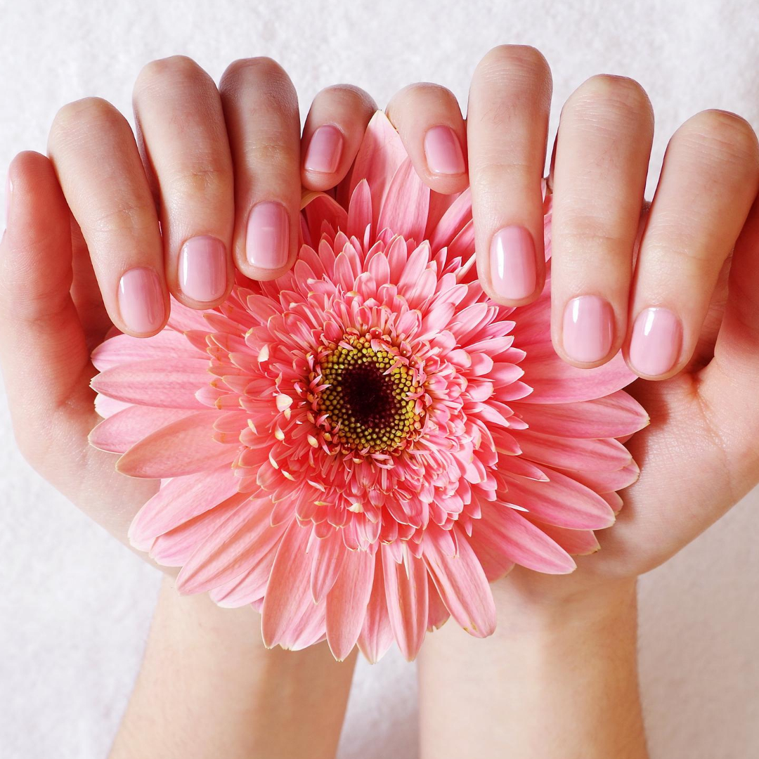 Le' Spa - Nail Salon in Allentown