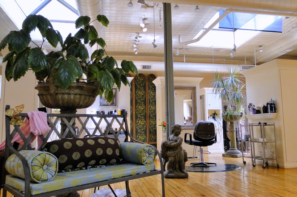 Moss Salon - Hair Salon in Providence