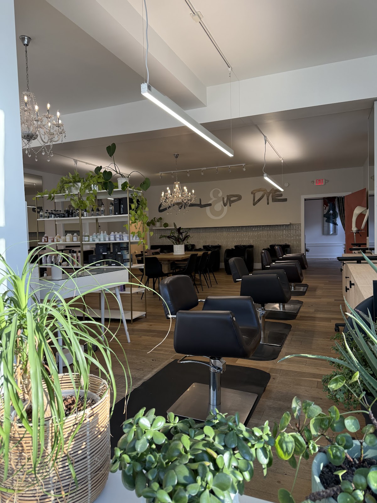 Curl Up & Dye Hair Salon - Hair Salon in Newport