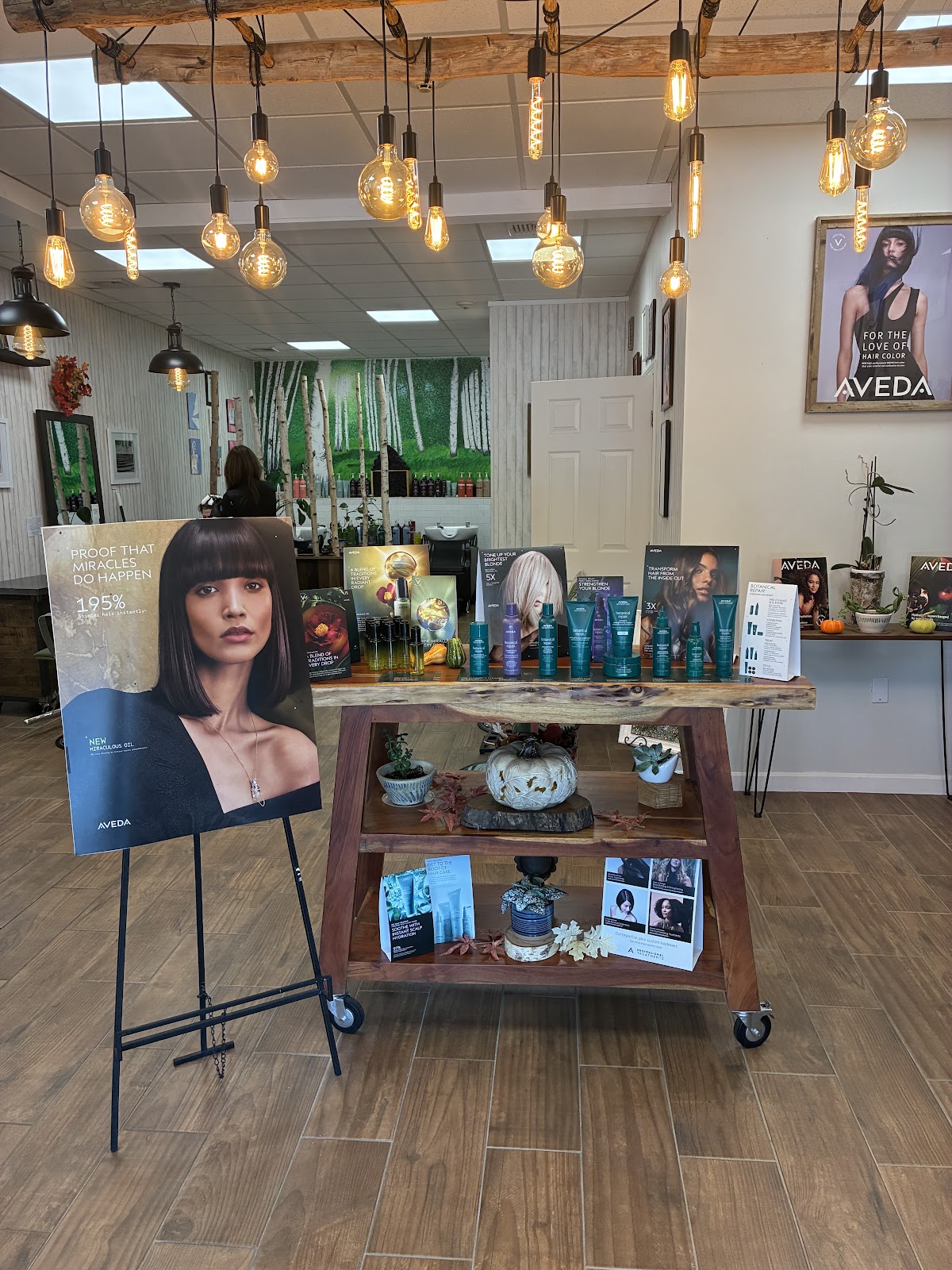 Birch Salon & Gallery, Inc. - Hair Salon in Warwick