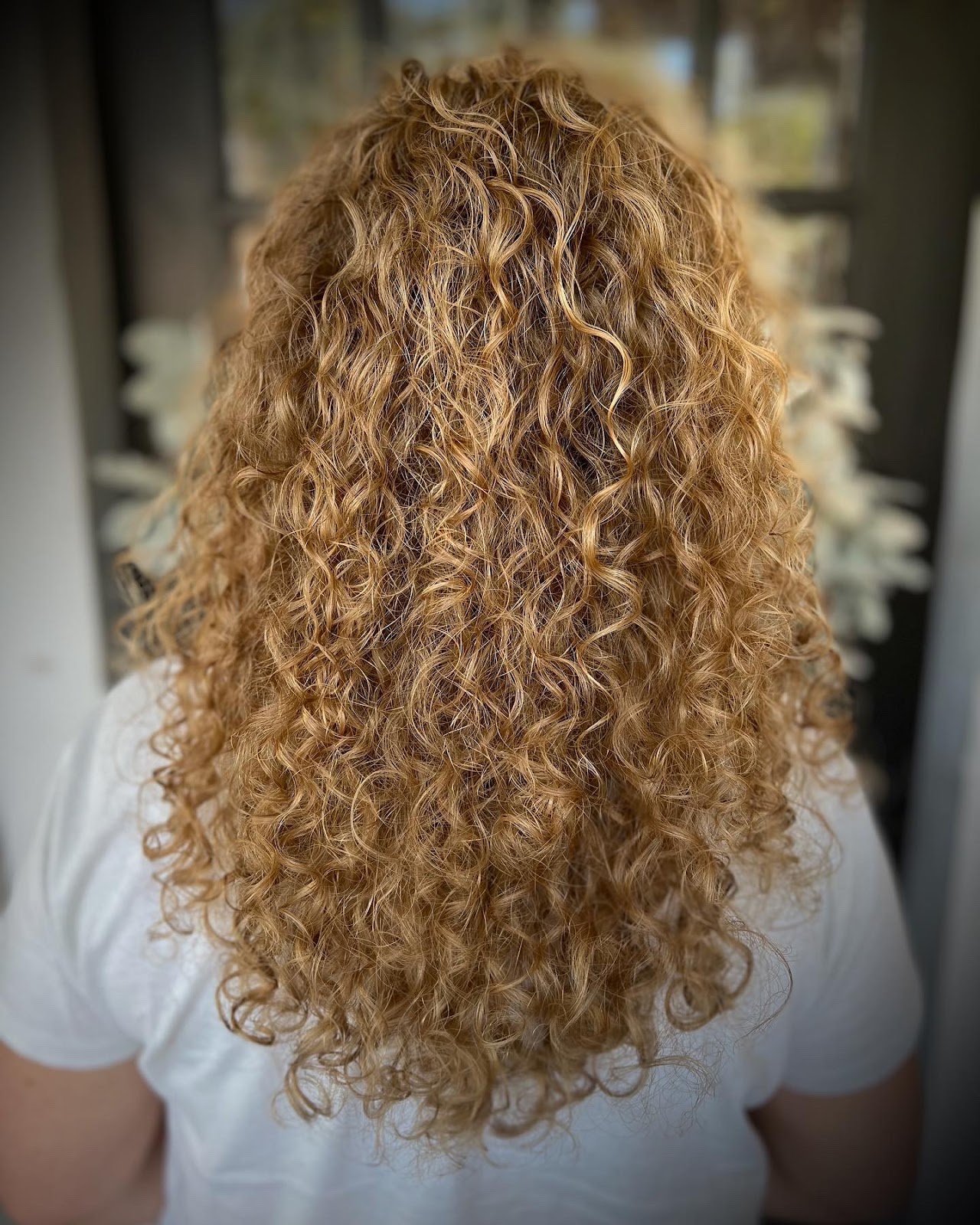 Hair Bella Salon - Hair Salon in Greenville