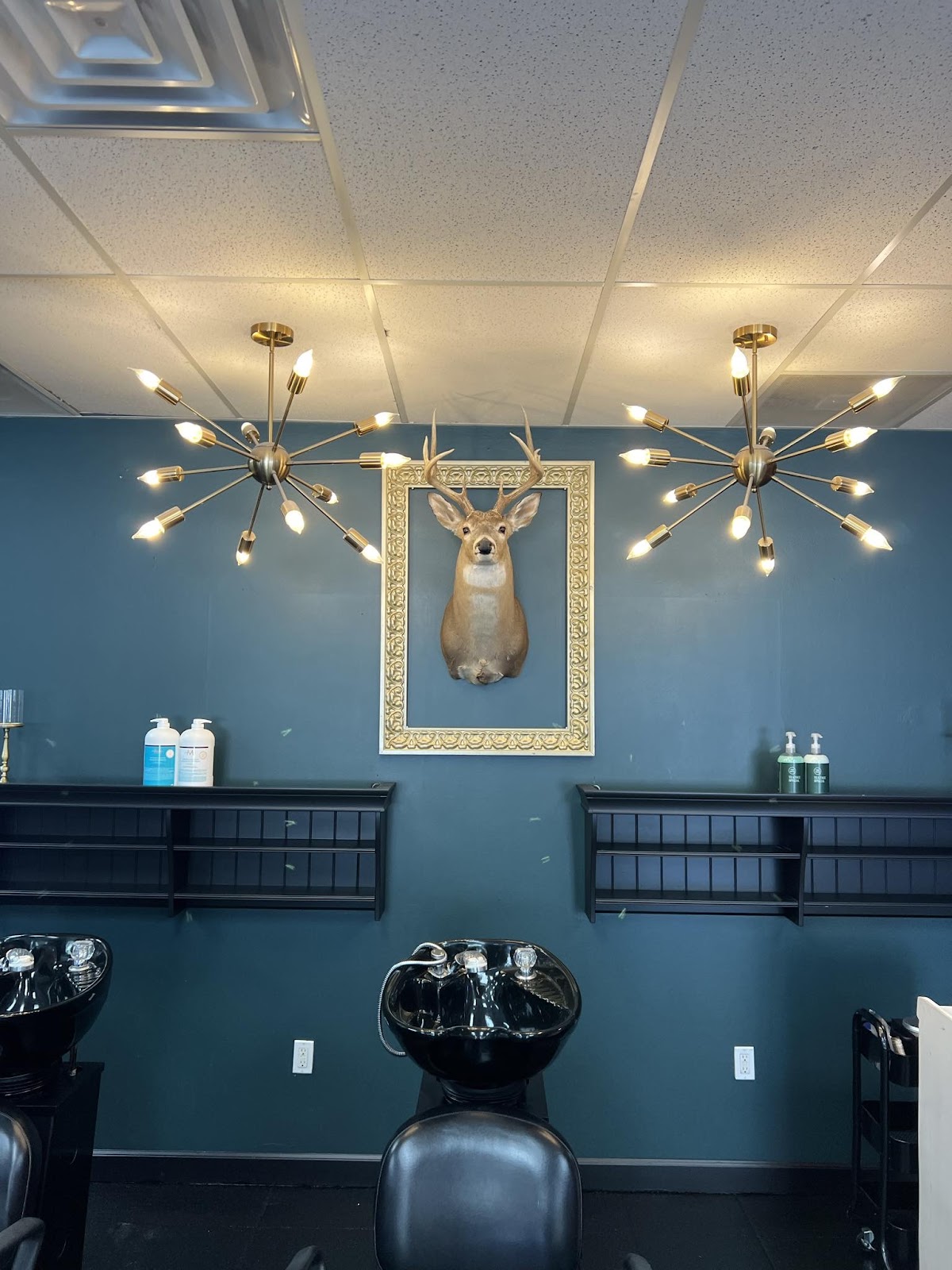 Tailored Barber Co. II Ogden - Barbershop in Ogden