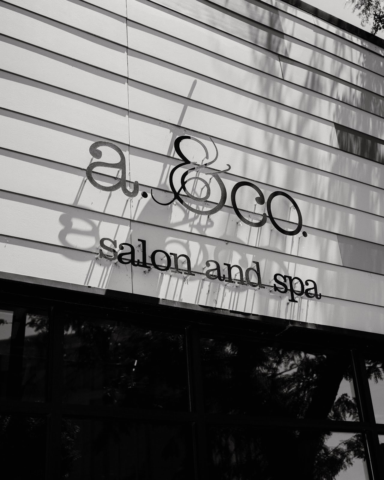 a.&co. salon & spa - Beauty Spa in Ogden
