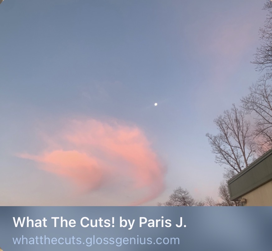 What The Cuts! by Paris J. - Hair Salon in Charlottesville