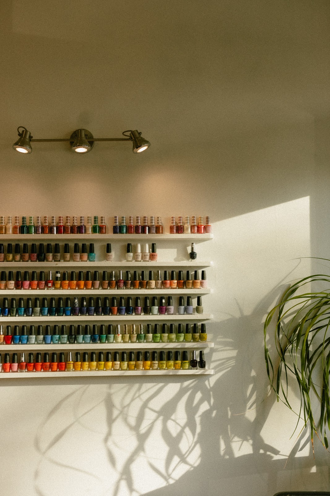 My Nail Bar - Nail Salon in Seattle