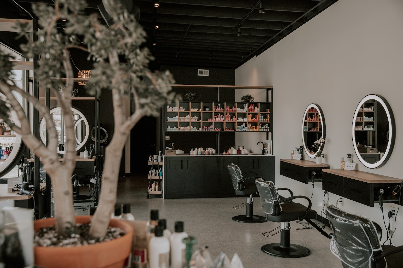 LoneStar Salon on Capitol - Hair Salon in Olympia